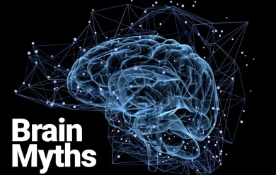 Brain Facts vs. Myths: What You Need to Know