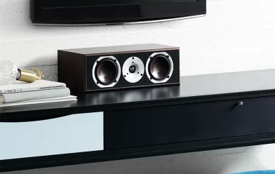 DALI Spektor Series Speakers: Where Style Meets Sonic Excellence