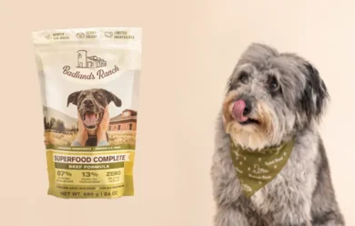 Why I Chose Badlands Ranch Superfood Complete for My Dog